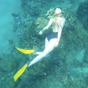 Meet your Posher, Alayne